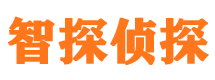 南川智探私家侦探公司